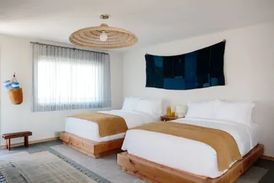 Photo 3 - Daunt's Albatross Motel