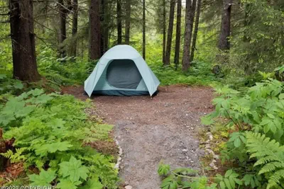 Photo 4 - Bear Necessities Cottages