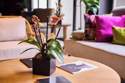 Photo 5 - Ola Boutique Hotel