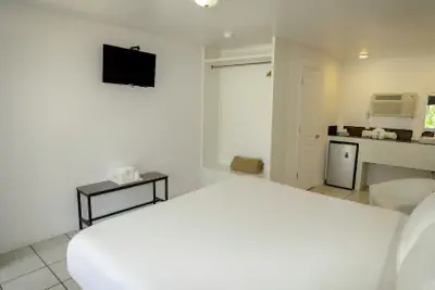Photo 4 - Banana Peel Lodge