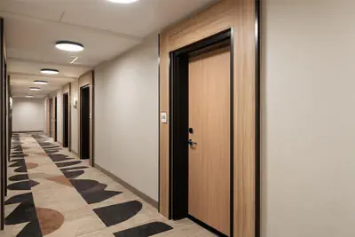 Photo 4 - Hilton Garden INN Greenville University