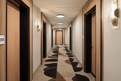 Photo 3 - Hilton Garden INN Greenville University