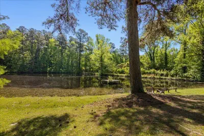 Photo 4 - 5BR Woodland Retreat Kayak Fish Pond Rest