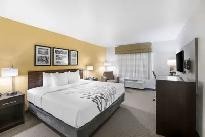 Photo 4 - Sleep Inn & Suites Carlsbad Caverns Area