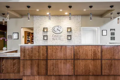 Photo 4 - Comfort Suites Woodland - Sacramento Airport