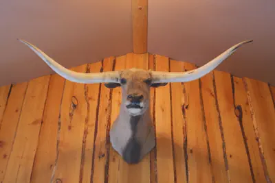 Photo 3 - The Longhorn Ranch Lodge and RV Resort
