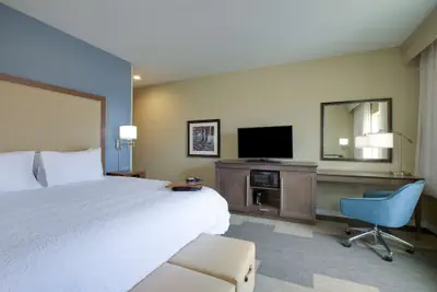 Photo 5 - Hampton Inn Snyder TX