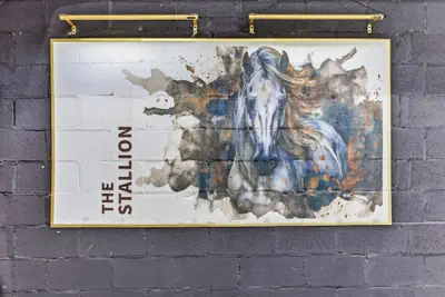 Photo 2 - The Stallion