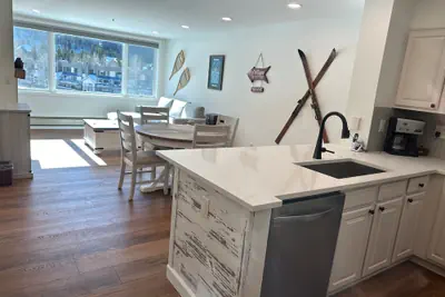 Photo 2 - Beautiful Renovated 1br Lakeside Condo 1 Bedroom Condo
