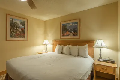 Photo 5 - Crested Butte Mountain Resort