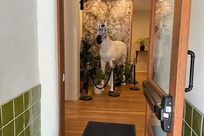 Photo 3 - Unicorn Zebra