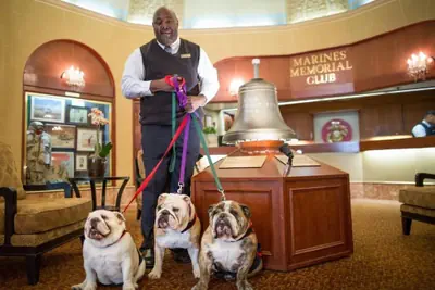 Photo 4 - Marines Memorial Club & Hotel