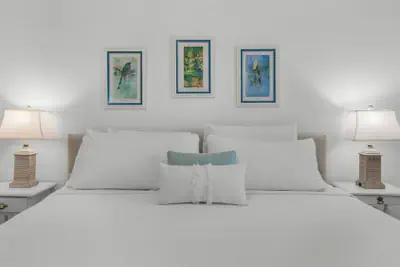 Photo 4 - Seagrove 2BR Near Lake & Beach + Free Tickets: Bikes, Dolphin Cruise & More!