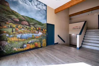 Photo 4 - Surestay By Best Western Forsyth