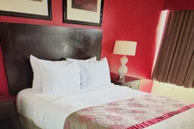 Photo 5 - Albany Plaza Hotel