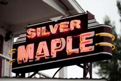 Photo 2 - Silver Maple Inn