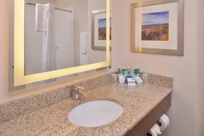 Photo 5 - Holiday Inn Express & Suites Dearborn SW - Detroit Area by IHG