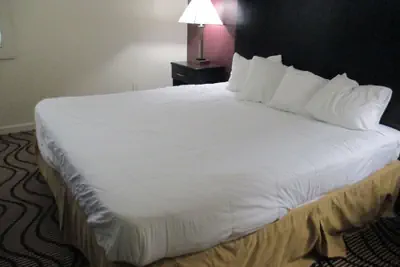 Photo 3 - Relax Inn