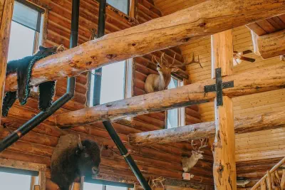Photo 3 - Bar N Ranch