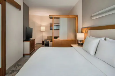 Photo 2 - Springhill Suites Buffalo Airport