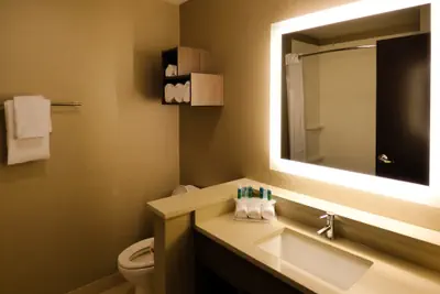 Photo 4 - Holiday Inn Express & Suites Plymouth - Ann Arbor Area by IHG