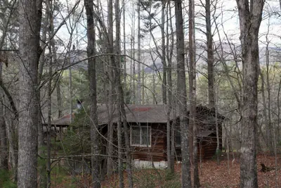 Photo 5 - Forrest Hills Mountain Resort