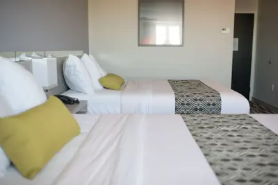 Photo 5 - Microtel Inn & Suites by Wyndham West Fargo Medical Center