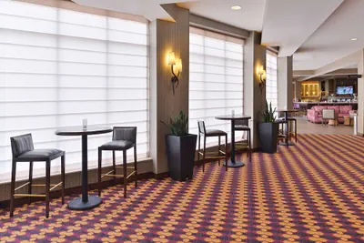 Photo 4 - Hilton Garden Inn Hobbs