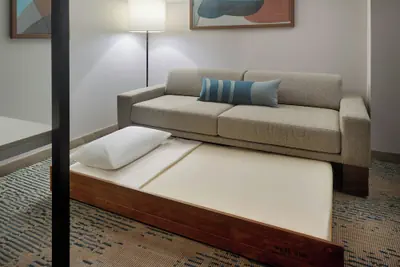 Photo 3 - Springhill Suites By Marriott Locust Grove