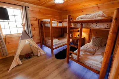 Photo 3 - Sleeps 16! Luxury Cabin With Game Room & Hot Tub