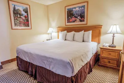 Photo 5 - The Grand Lodge by Traverse Hospitality (No Resort Fees)