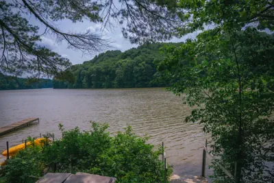 Photo 5 - Lakefront Hilltop Cabin Hot tub Firepit