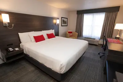 Photo 2 - University Guest House