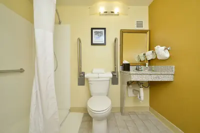 Photo 3 - Holiday Inn Express and Suites Greenwood Village DTC by IHG