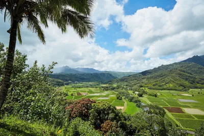 Photo 2 - The Cliffs at Princeville by ResorTime
