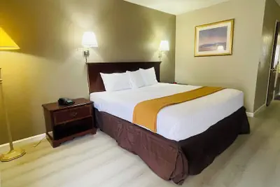 Photo 3 - Rodeway Inn Jackson - Martell