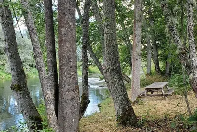 Photo 2 - Quail Run River View Cottage