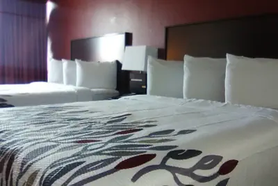 Photo 2 - Lubbock Regency Inn