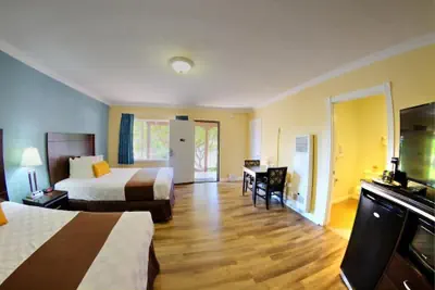 Photo 5 - Palm Tropics Motel