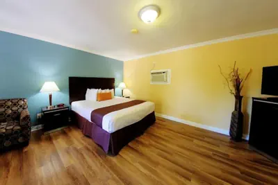 Photo 4 - Palm Tropics Motel