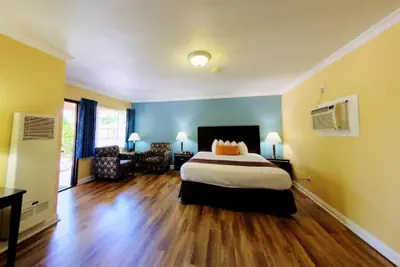 Photo 3 - Palm Tropics Motel