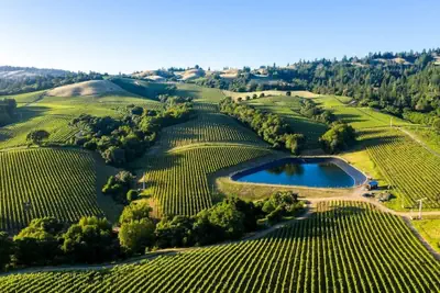 Photo 2 - Napa Escape Luxe King Bed Near Wineries & Spa