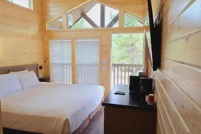 Photo 3 - Luxury Cabin with Mountain View