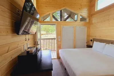 Photo 2 - Luxury Cabin with Forest View 5B