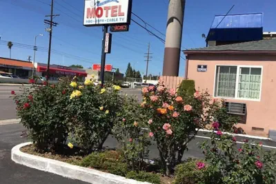 Photo 2 - CINEMA MOTEL