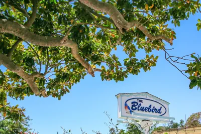 Photo 2 - Bluebird Inn