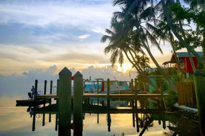 Photo 2 - Conch Key Fishing Lodge and Marina