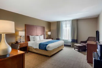 Photo 4 - Comfort Inn South Chesterfield - Colonial Heights