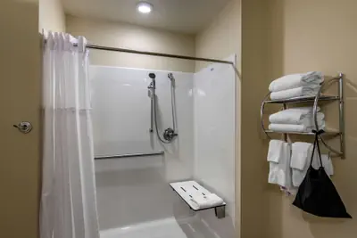 Photo 5 - Comfort Inn South Chesterfield - Colonial Heights