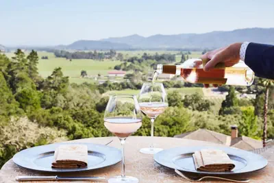 Photo 4 - Charming Napa Retreat Walk to Wineries Dining